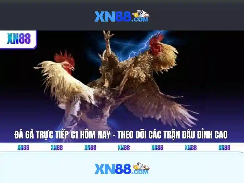 Trải Nghiệm Slot Trên Ứng Dụng XN88